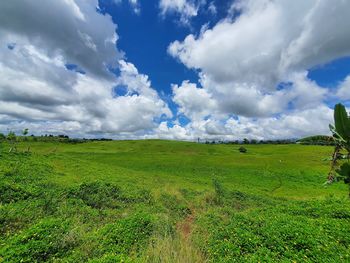 Scenic view of field against sky