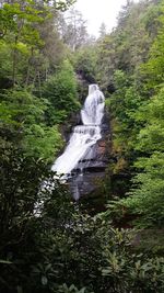 Waterfall in forest