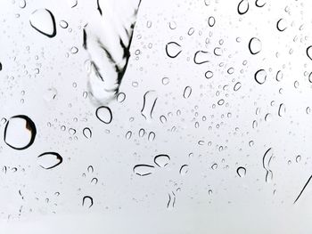 Full frame shot of wet glass window