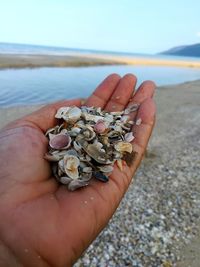 Midsection of person holding shell on beach