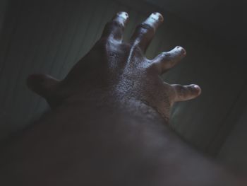 Close-up of human hand