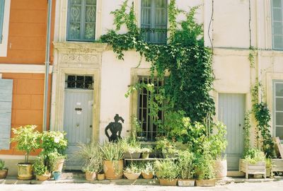An iron women with a lot of plants 