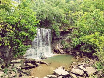 Waterfall in forest