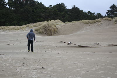 Rear view of man on beach