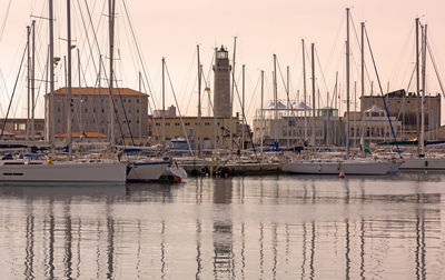 Sailboats in harbor at sunset