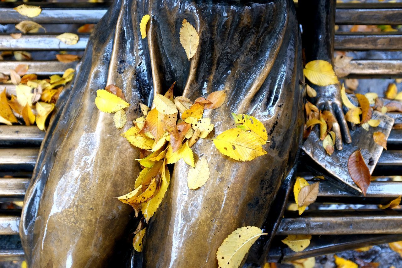 HIGH ANGLE VIEW OF FOOD ON WOOD