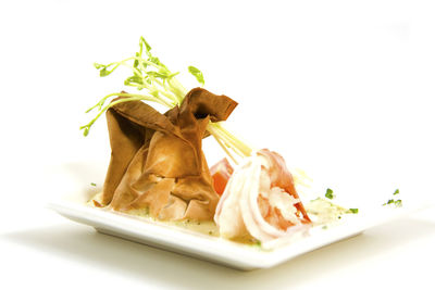 Close-up of meat against white background