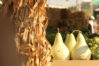 Close-up of vegetables