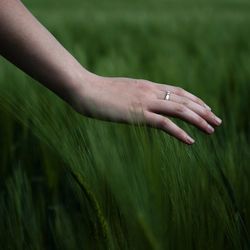 Close-up of cropped hand on field