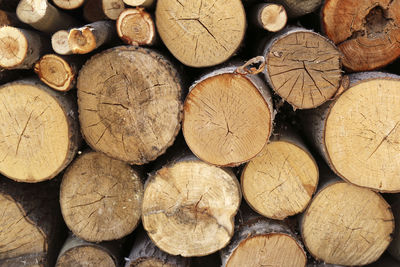 Firewood chopped and stacked, firewood background