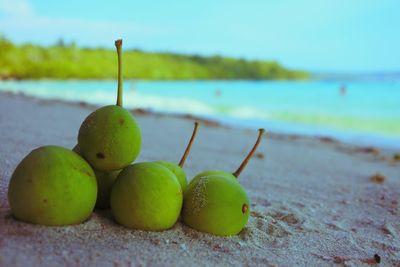 Close-up of fruits at beach