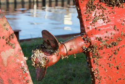 Close-up of rusty pipe