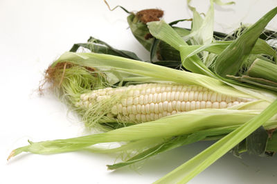 Close-up of banana against white background