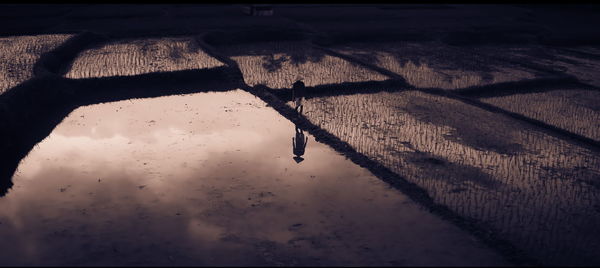 Reflection of sky on puddle