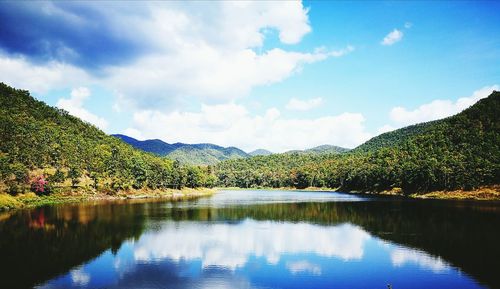 Scenic view of lake in forest against sky