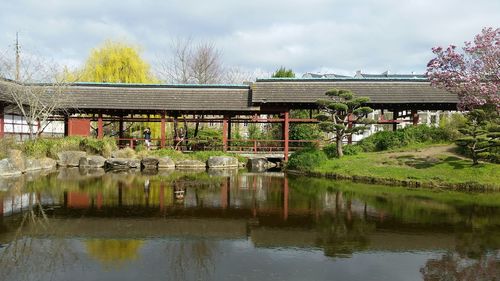 Reflection of trees in lake against sky