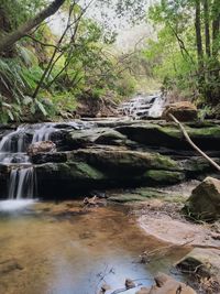 Stream flowing through rocks in forest