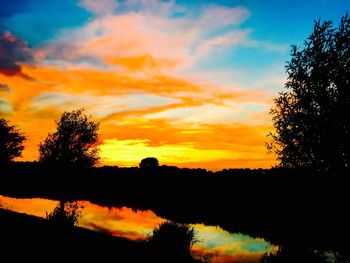 Silhouette of trees at sunset