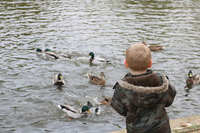 Rear view of boy looking at ducks on lake
