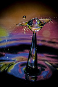 Close-up of water drop