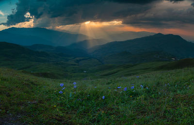 Mountains of chechnya. scenic view of field against sky during sunset