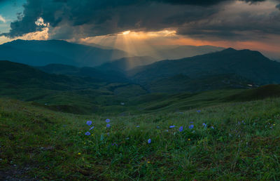 Scenic view of field against sky during sunset