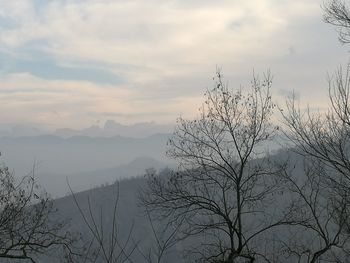 Scenic view of tree mountains against sky