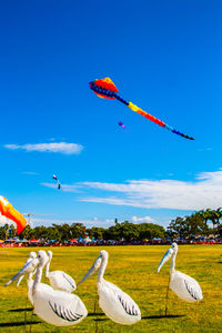 Hot air balloons flying against blue sky