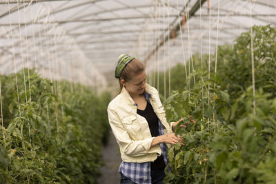 Young woman working as vegetable grower or farmer in a greenhouse