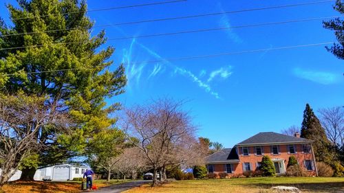 Houses and trees against blue sky