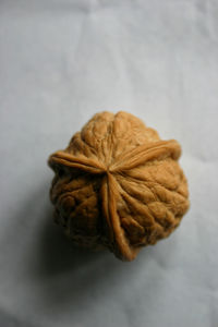 Close-up of flower over white background