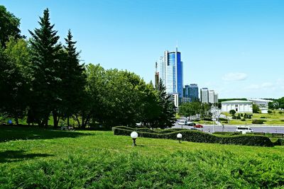 Trees growing on field against buildings in city