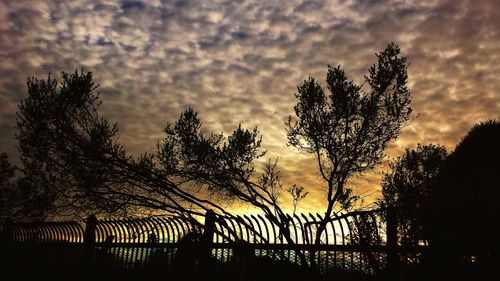 Silhouette of trees against cloudy sky