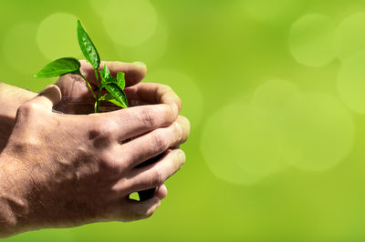 green