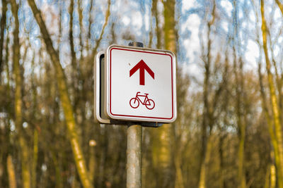 Close-up of road sign against trees