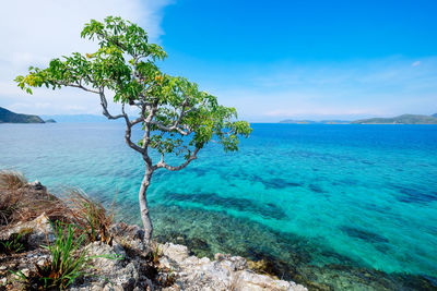 Scenic view of sea against blue sky