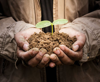 Midsection of person holding plant