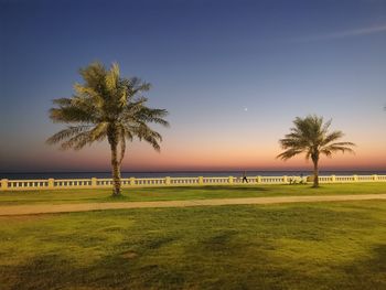 Palm trees on field against clear sky