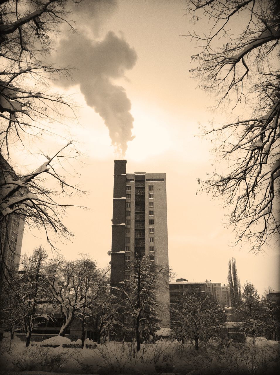 architecture, building exterior, built structure, bare tree, sky, tree, cloud - sky, city, branch, tower, building, low angle view, cloudy, residential building, sunset, no people, outdoors, tall - high, old, nature