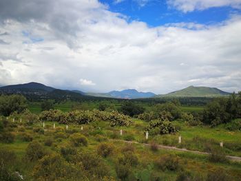 Scenic view of green landscape and mountains against sky