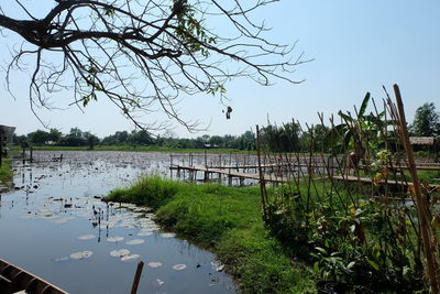 Scenic view of lake against clear sky