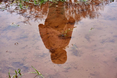 High angle view of wet puddle