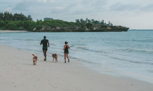 Rear view of man, woman and dogs jogging at beach early morning 