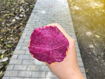 Close-up of hand holding pink rose on footpath