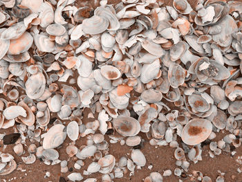large group of objects