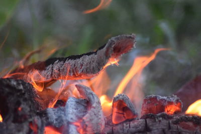 Close-up of fire against blurred background