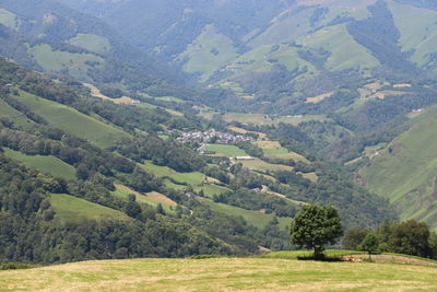 Scenic view of green landscape