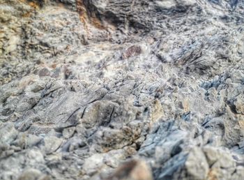 Full frame shot of textured surface