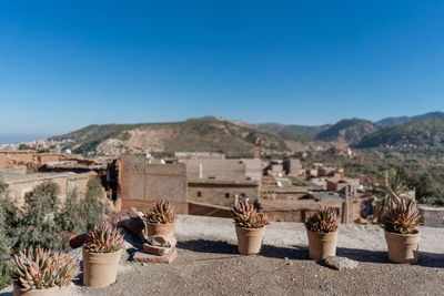 Potted plants on terrace with buildings and mountains against clear blue sky