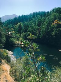 Scenic view of lake and trees against sky